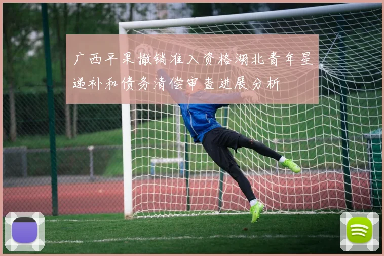 广西平果撤销准入资格湖北青年星递补和债务清偿审查进展分析