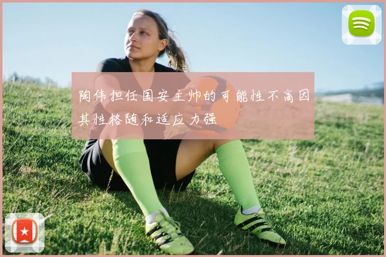 陶伟担任国安主帅的可能性不高因其性格随和适应力强