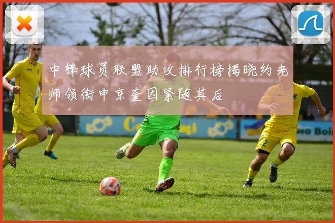 中锋球员联盟助攻排行榜揭晓约老师领衔申京奎因紧随其后