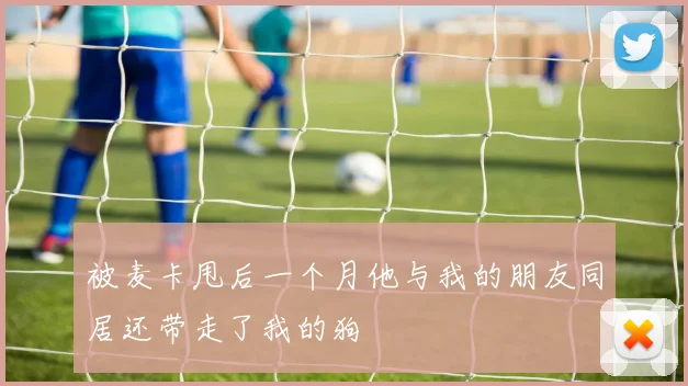 被麦卡甩后一个月他与我的朋友同居还带走了我的狗