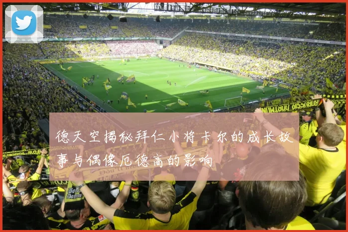 德天空揭秘拜仁小将卡尔的成长故事与偶像厄德高的影响