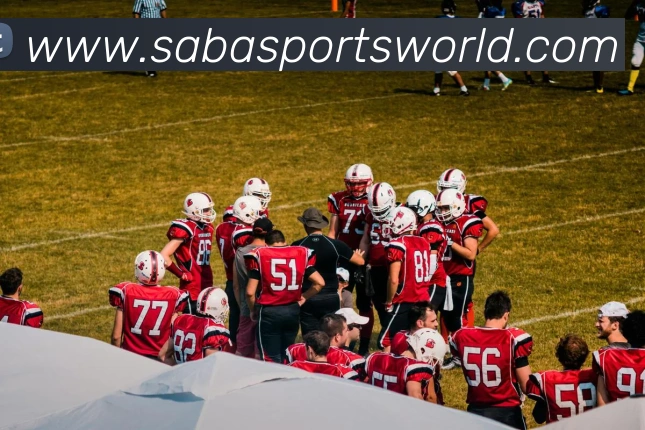 沙巴体育服务体系